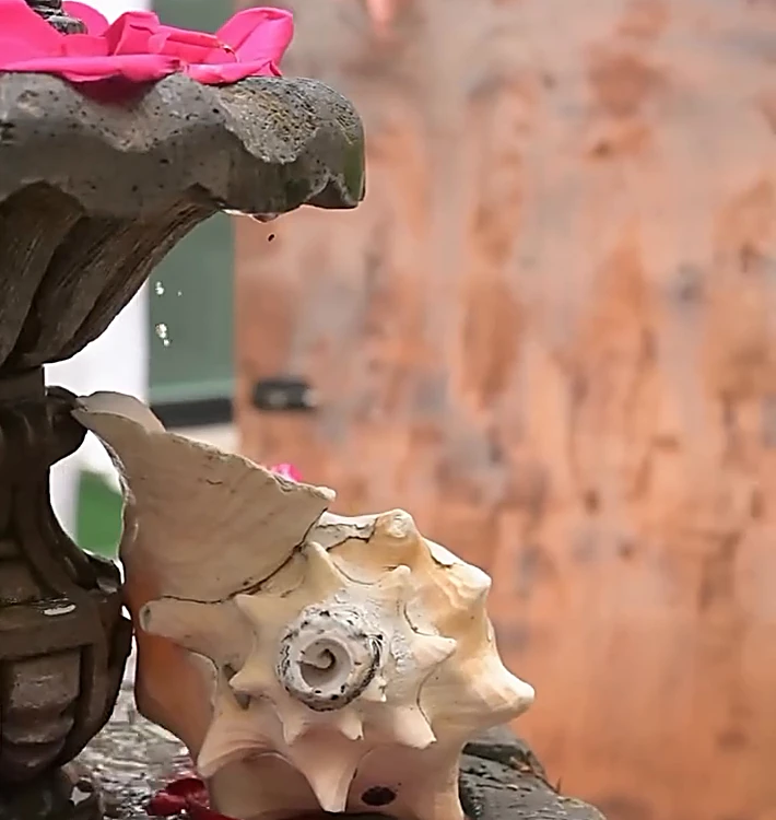 Un caracol sobre la fuente de piedra, junto a la puerta de madera del temazcal
